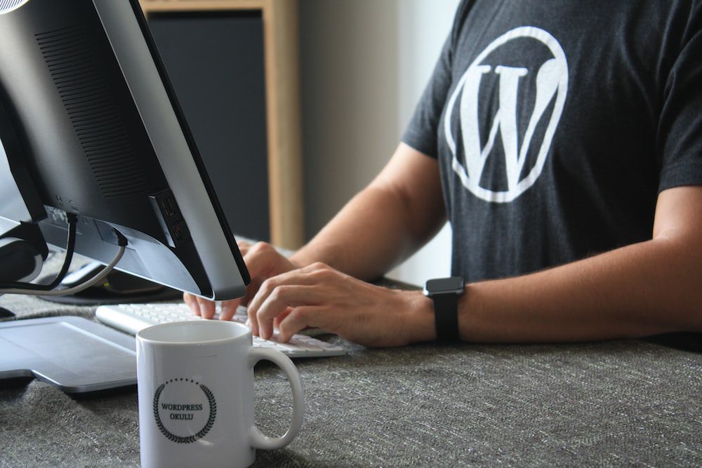 Wordpress user at computer